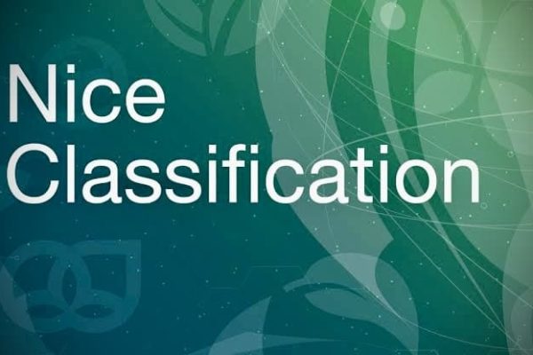 Understanding Nice Classification: A Comprehensive Overview