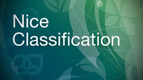 Understanding Nice Classification: A Comprehensive Overview
